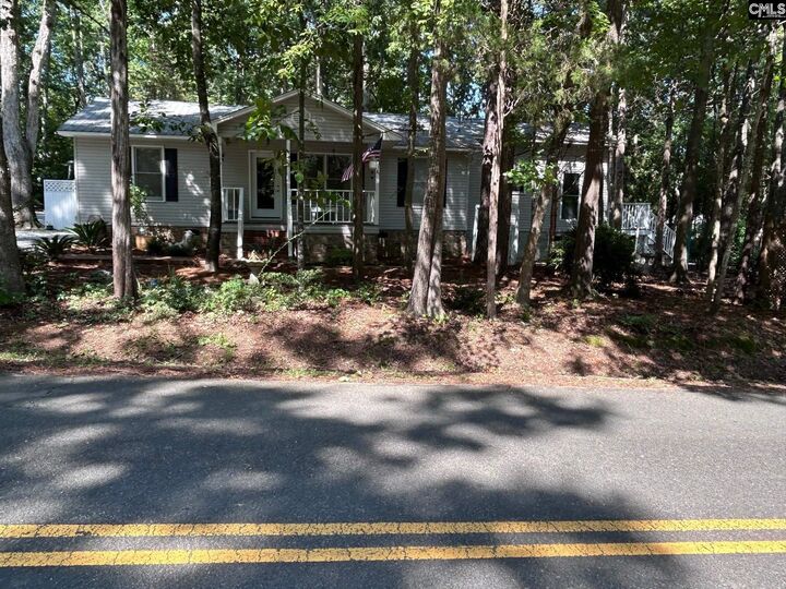195 Lexington  Chapin SC 29036 photo