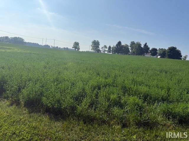Property Photo:  Tbd Cr 61 Road  IN 46742 