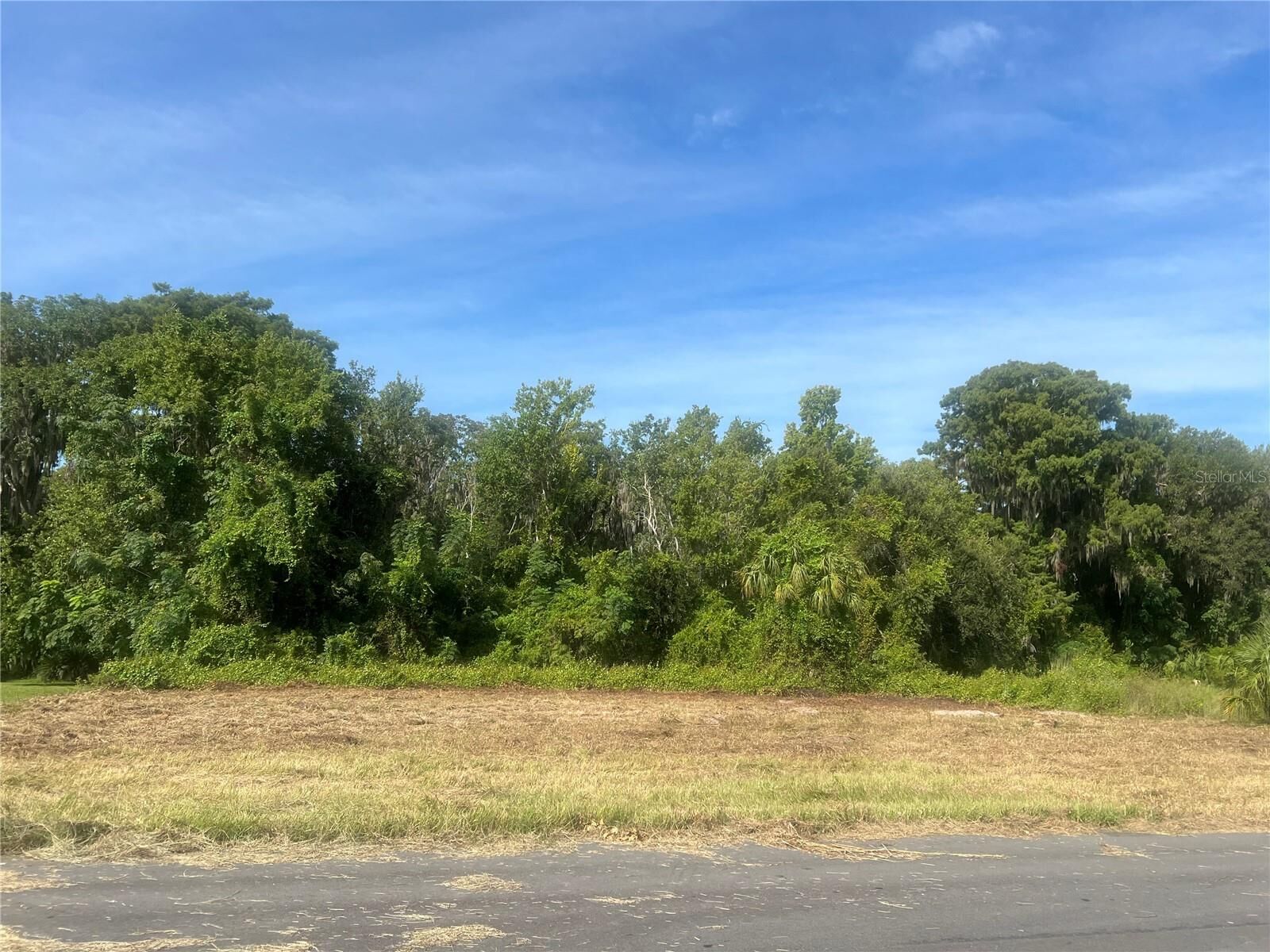 Property Photo:  Redtree Drive  FL 34748 