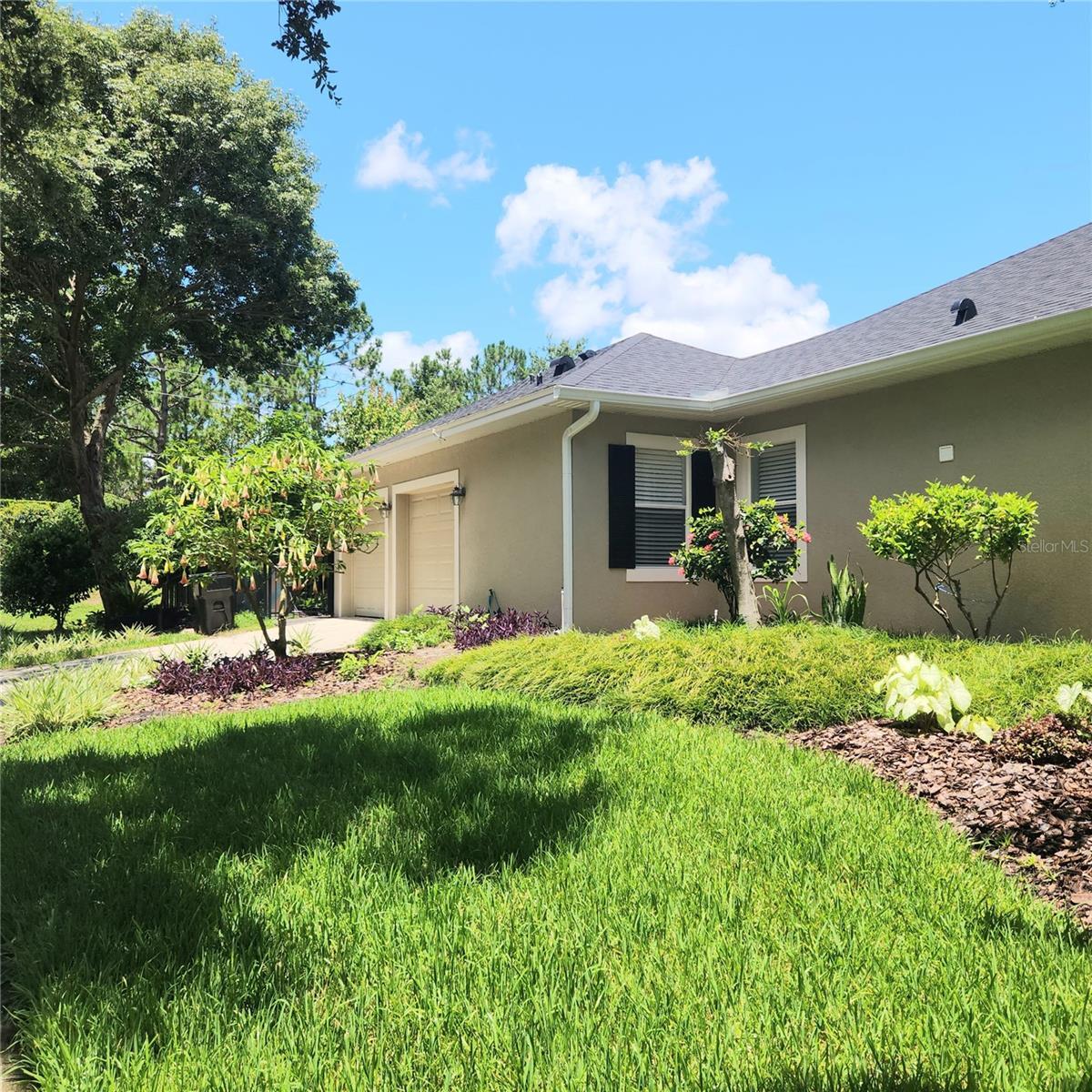 Property Photo:  9622 Cypress Pine Street  FL 32827 