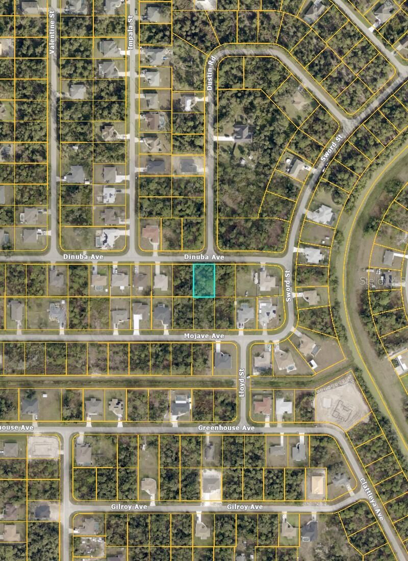 Property Photo:  Dinuba Avenue  FL 34288 