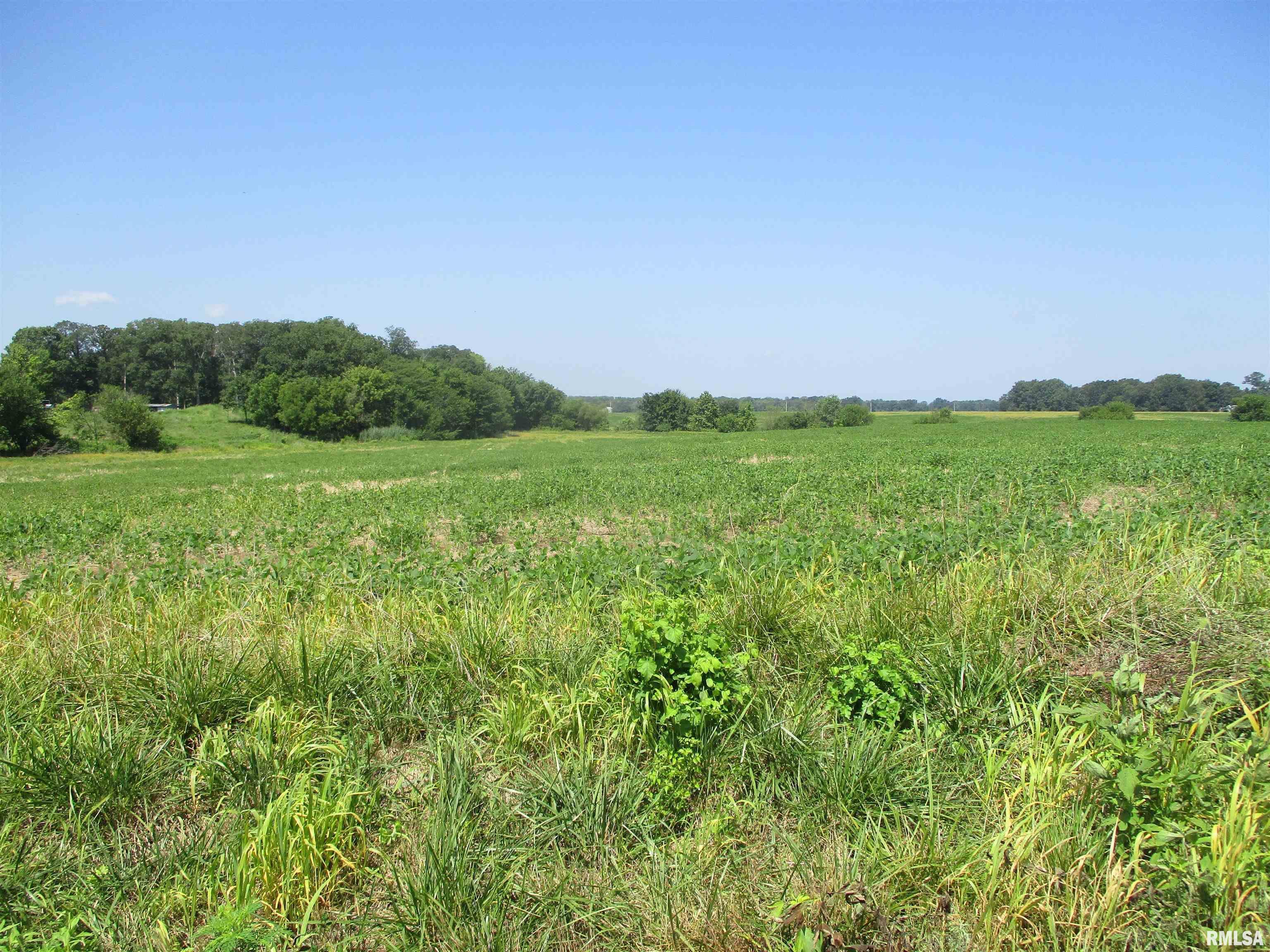 0000 Bean Road  Whittington IL 62897 photo