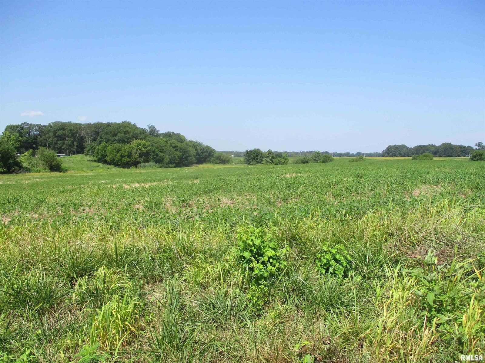 Property Photo: 0000 Bean Road IL 62897