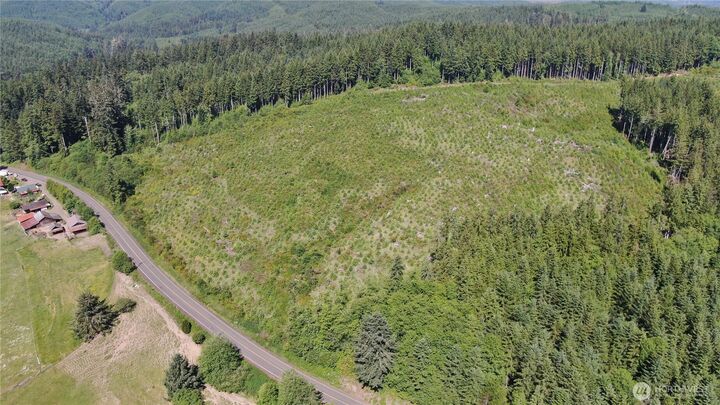 Property Photo: 0 Butte Creek Road WA 98577