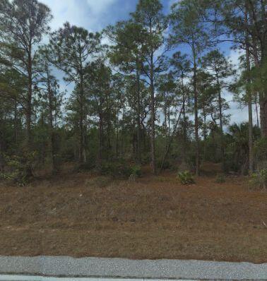 Property Photo:  1223 Richmond Avenue N  FL 33972 