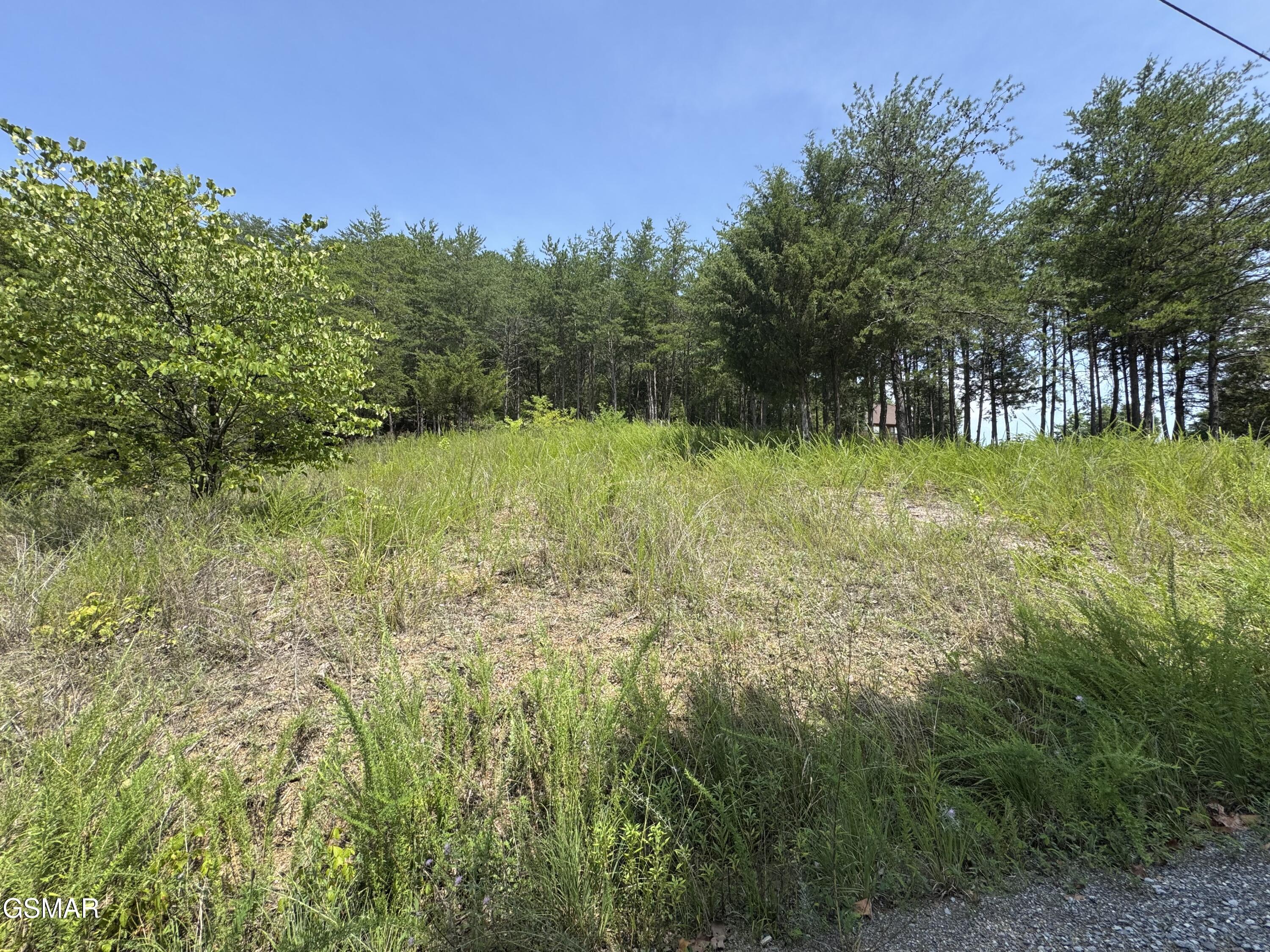 Property Photo:  Lot 1 Skyview Way  TN 37725 