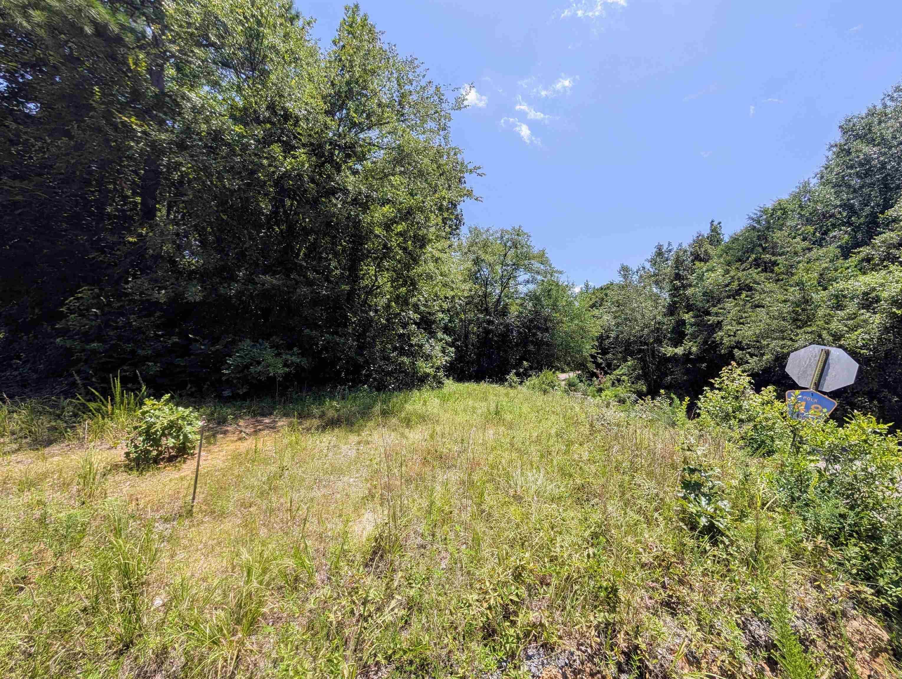 Property Photo:  Unk Polk Road 48 And Polk 95  AR 71953 