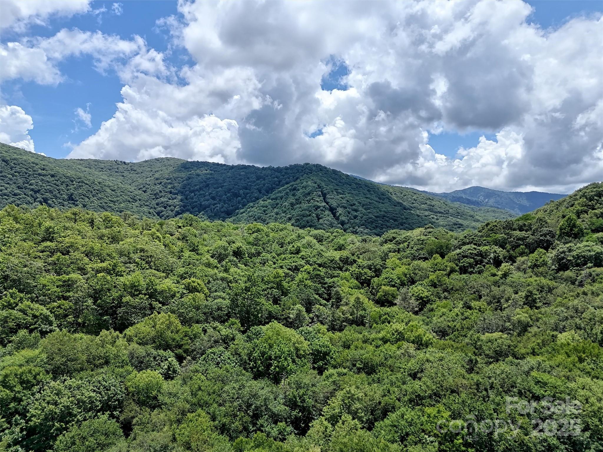 Property Photo:  Lot #60 Yonder Trail  NC 28751 