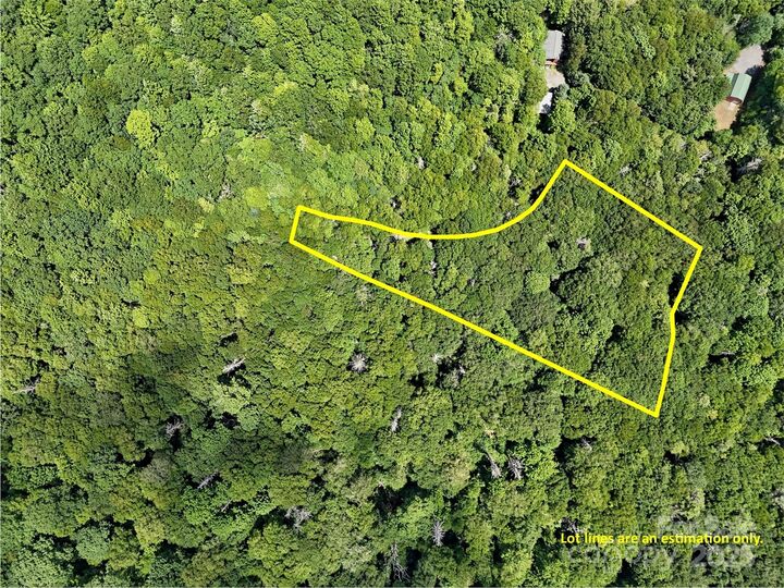 Property Photo:  Lot #60 Yonder Trail  NC 28751 