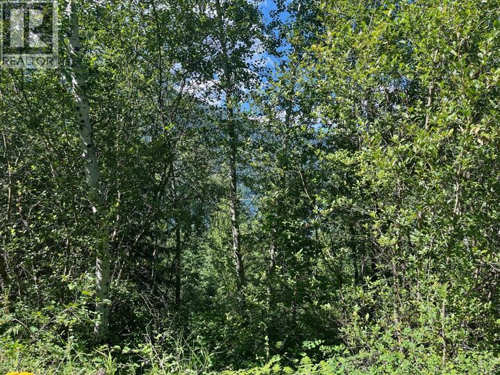 Property Photo:  Lot B Government Street  BC V1L 3K9 