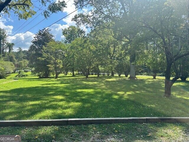Property Photo: 0 Call-Wright Rd - 3.54 Acres GA 30540