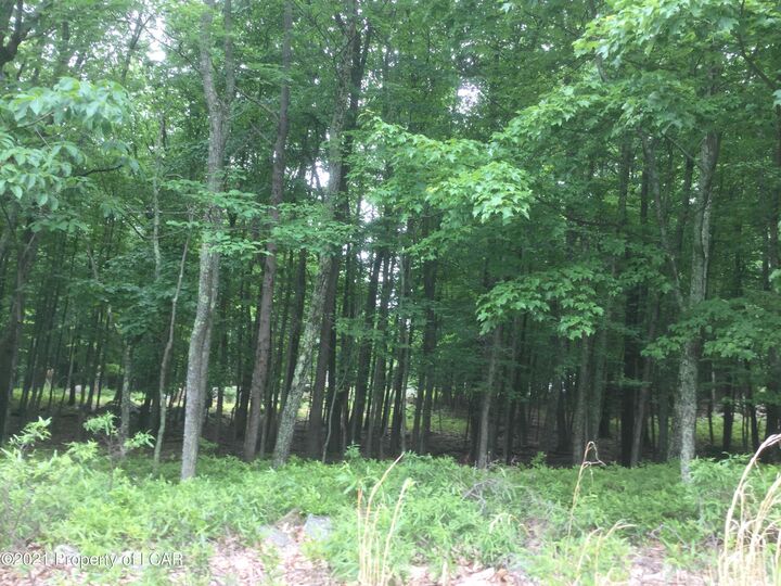 Property Photo: Sh Lot 029 Southern Hills Court PA 18202