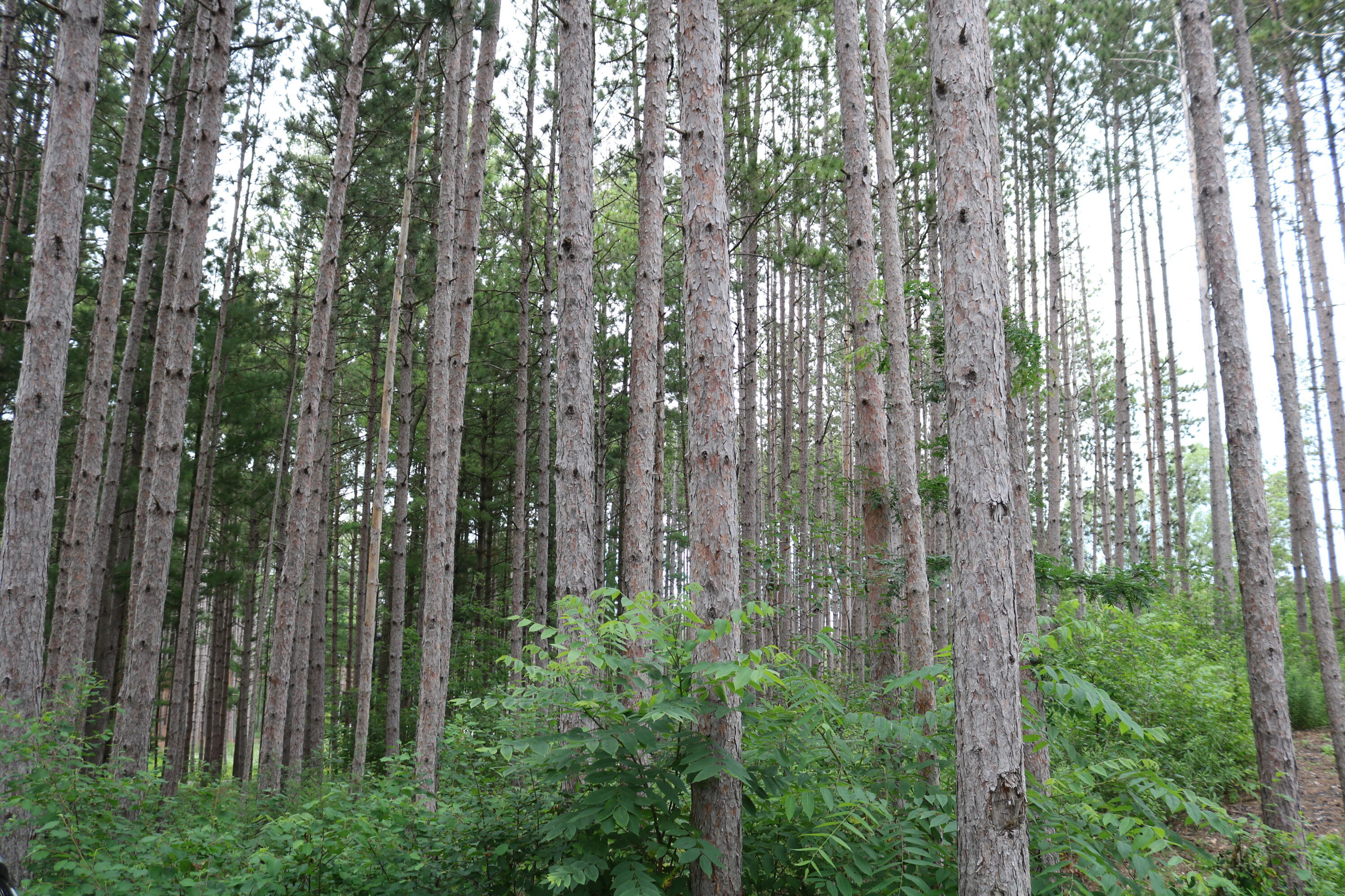 Property Photo: 7855 Indian Lore Rd 26 WI 53090