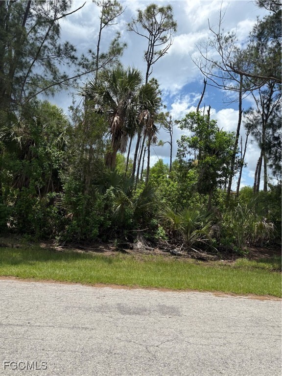 Property Photo: 3501 Tangerine Drive FL 33956