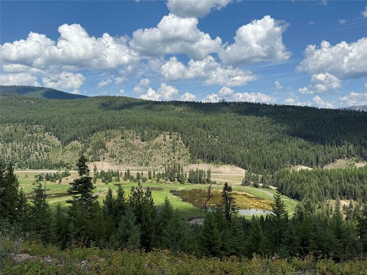 Property Photo:  Tbd Lot 10 North Schreiber Lake Subdivision  MT 59923 