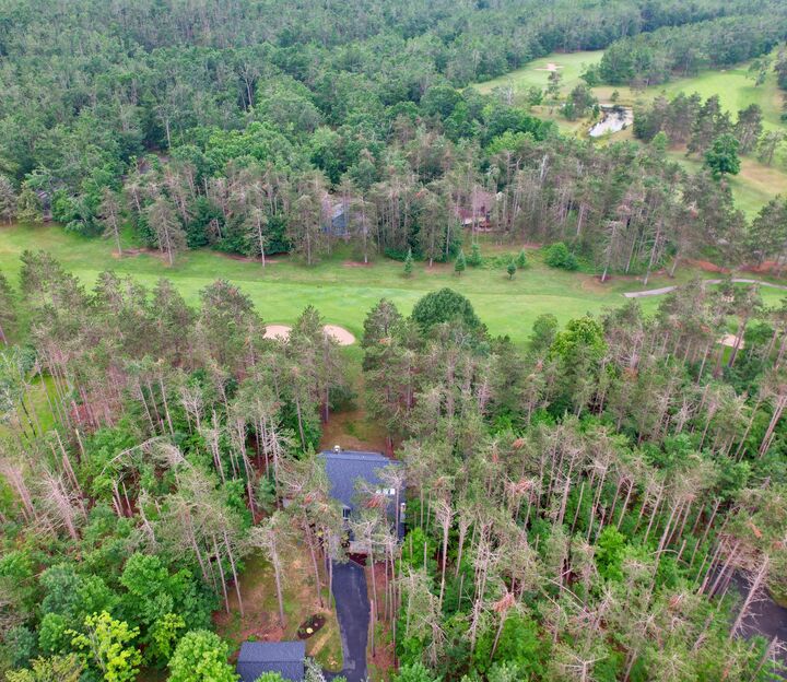 Property Photo:  6672 St Andrews Drive  MI 49735 