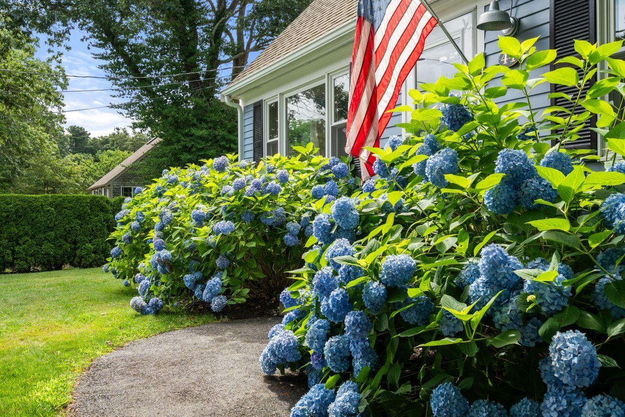 Property Photo: 44 Hillside Avenue MA 02556