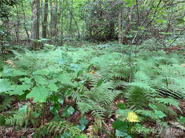 Property Photo: 0000 Peppervine Circle 98 NC 28772