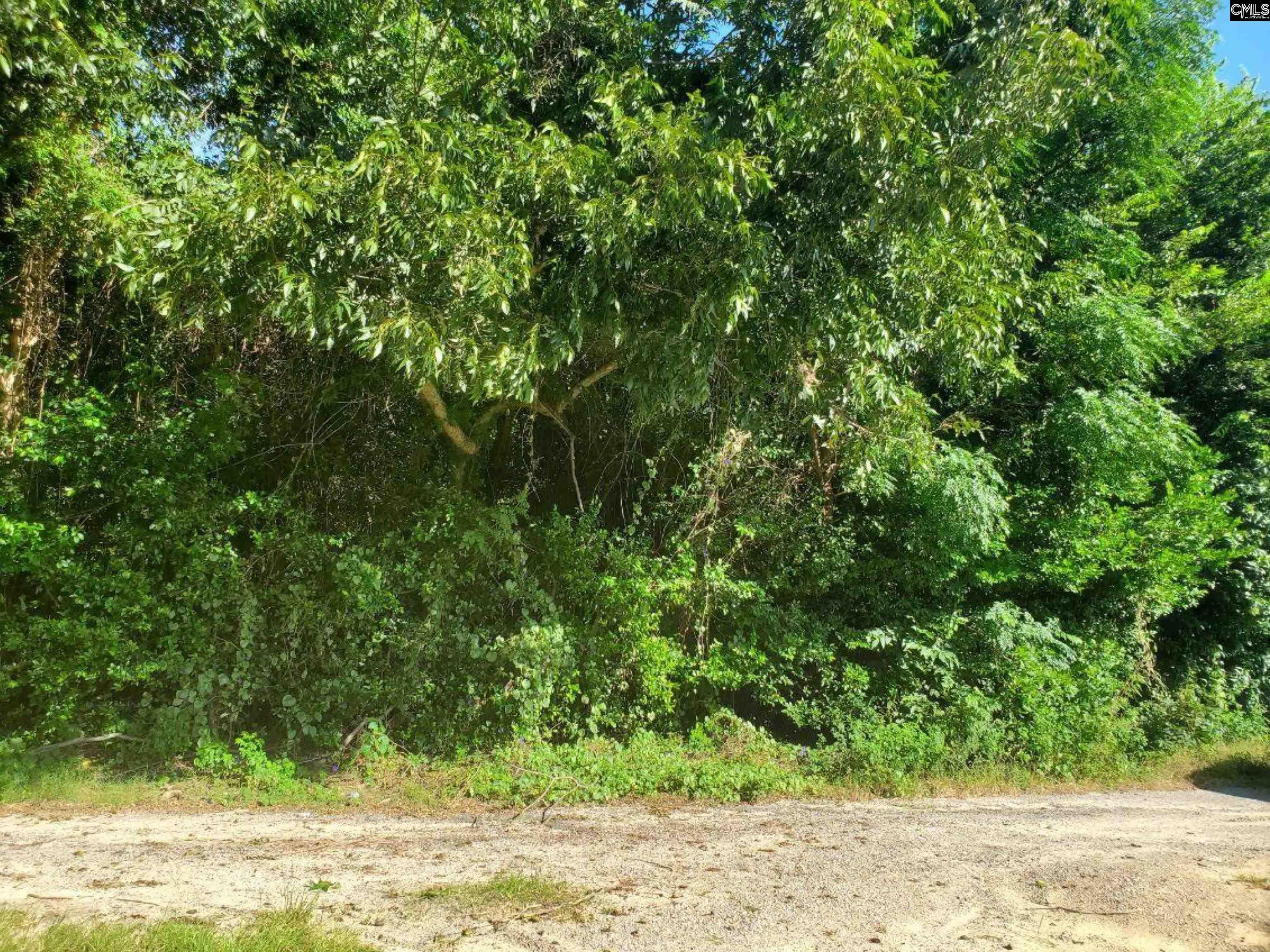 Property Photo: 1671 Desoto SC 29115-0000