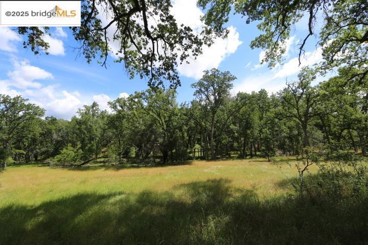 Property Photo: 22000 Ferretti Rd. CA 95321