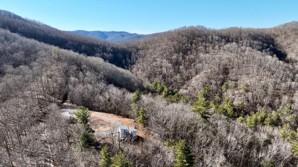 Property Photo:  3530 Hamilton Ridge Rd  WV 24910 