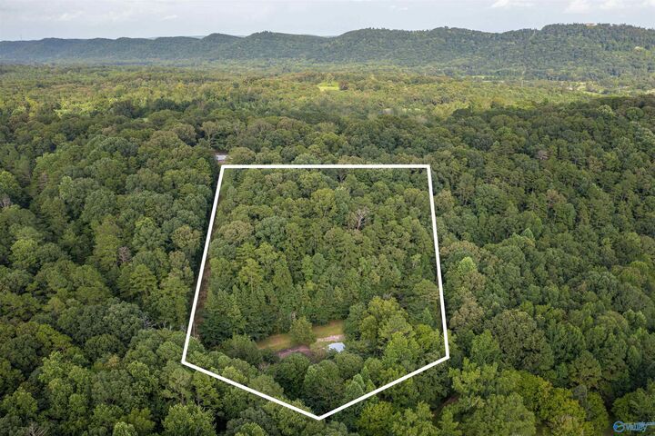 Property Photo: 160 Mill Hill Road AL 35954