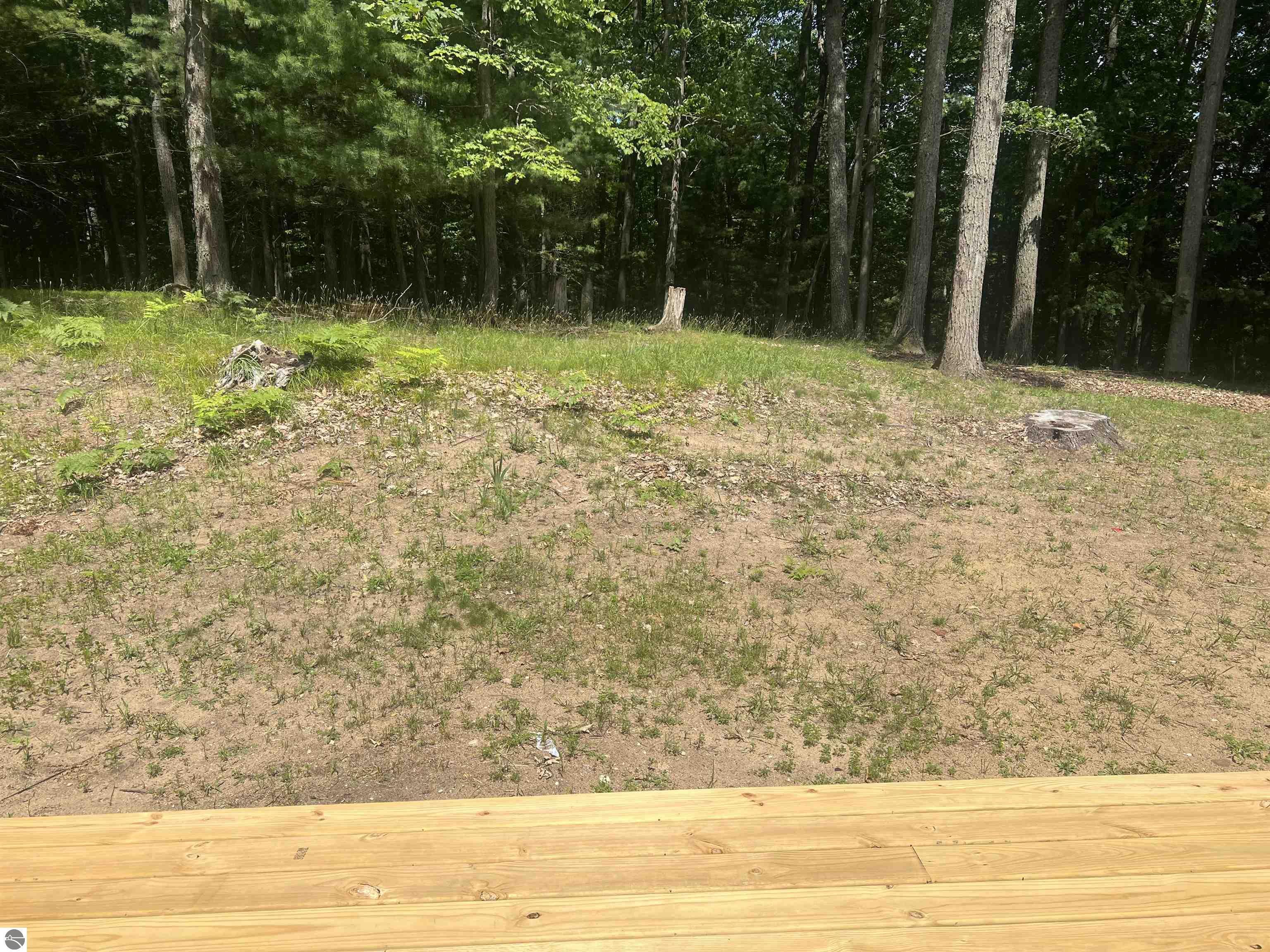 Property Photo: 315 Timber Hill MI 49696
