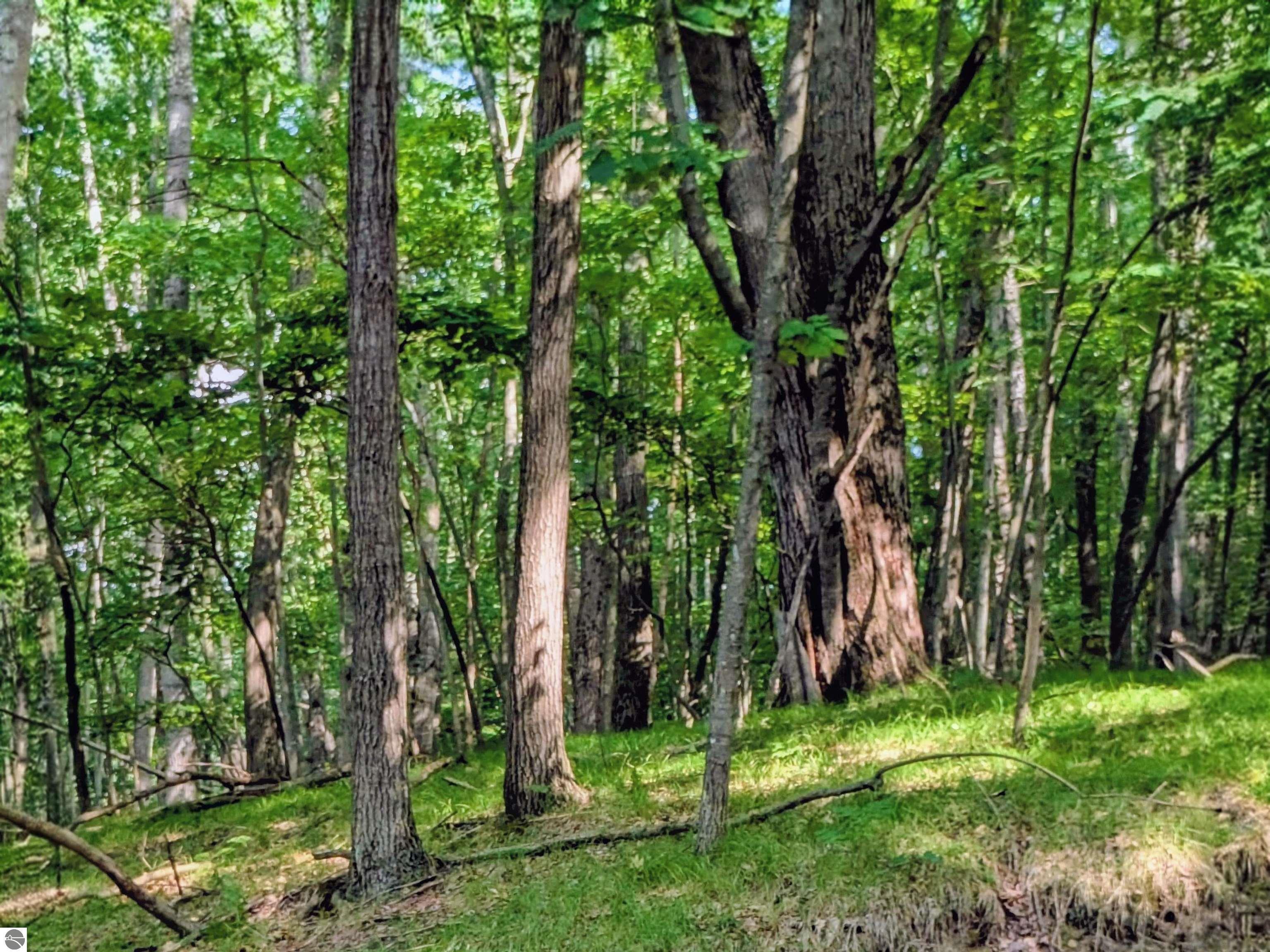 Property Photo: 11717 Broken Arrow MI 49346