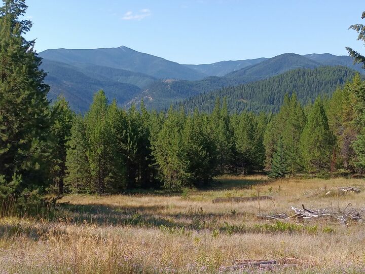 Property Photo: 632 Finley Road MT 59842