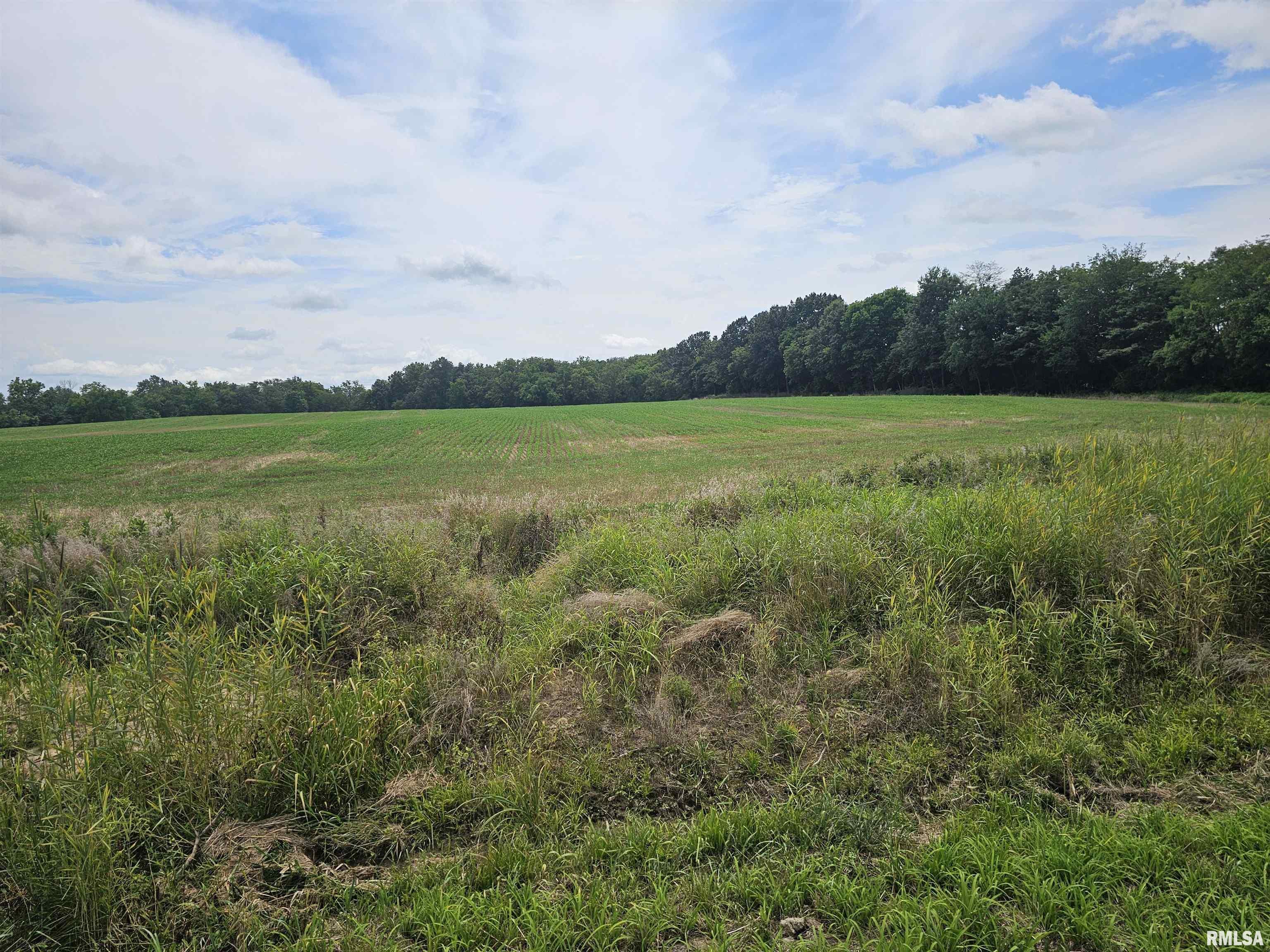 Property Photo: 0000 Roseborough Road IL 62286