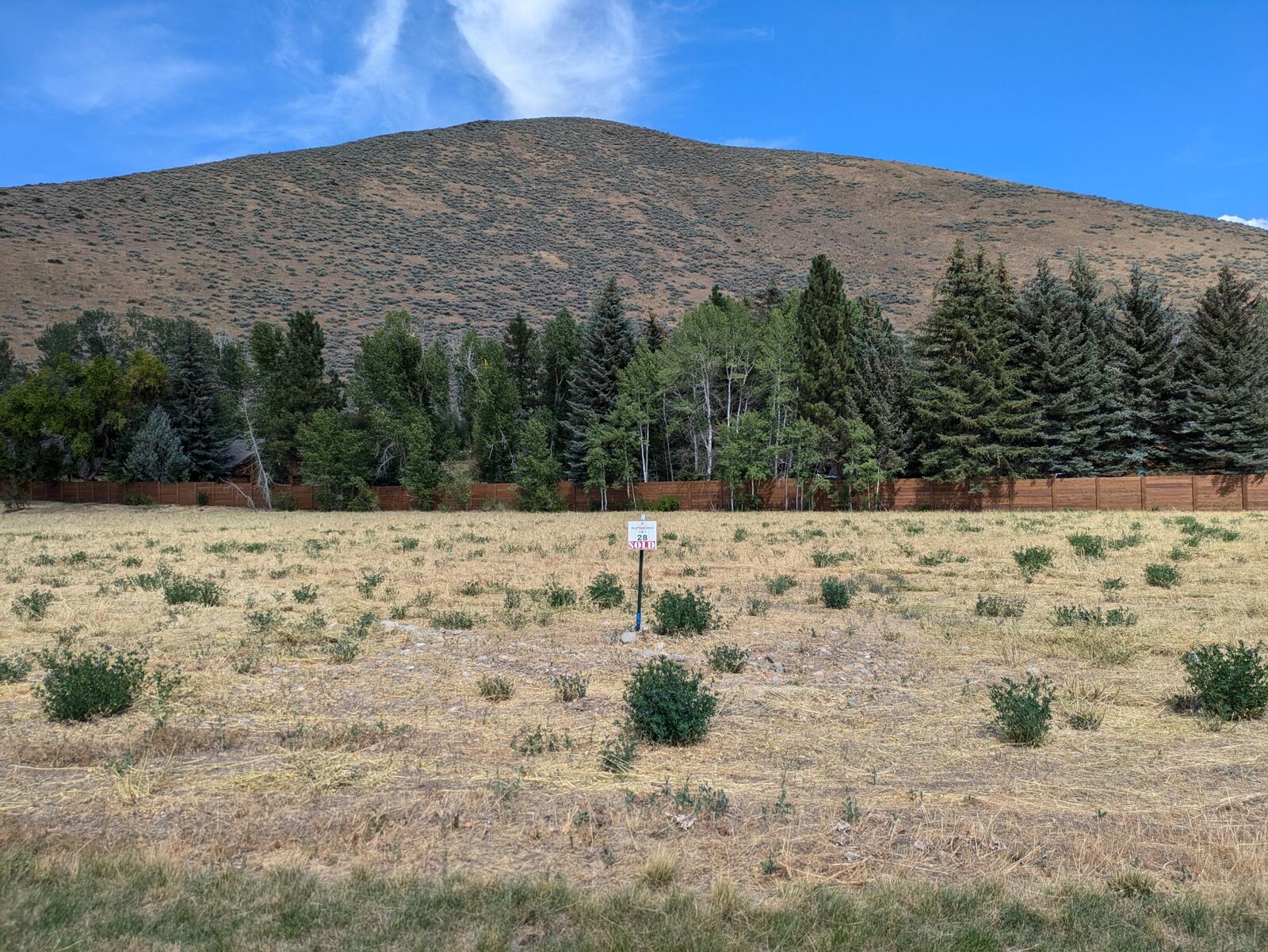 Property Photo: 290 Sunbeam St ID 83333