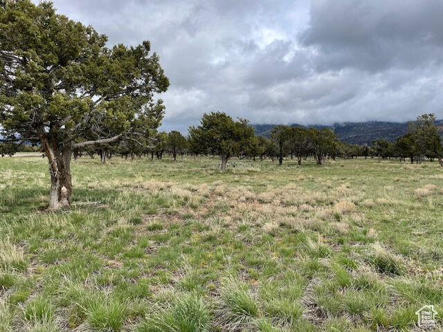 6040 E 10590 N  Spring City UT 84662 photo