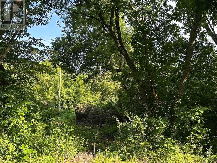 Property Photo: 000 Pittston Road ON K0E 1X0