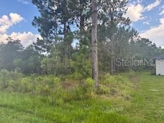 Property Photo:  3 Lansing Lane  FL 32137 