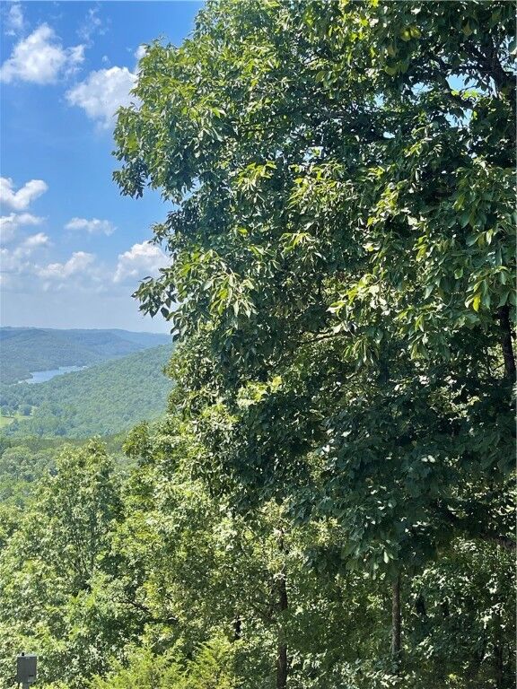 Property Photo: Cypress Point Lane AR 72631