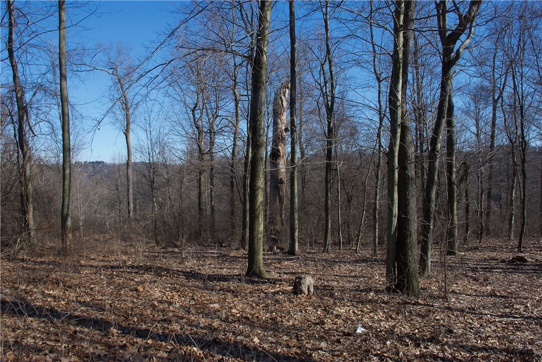 Property Photo:  0 Audubon Road  PA 15143 