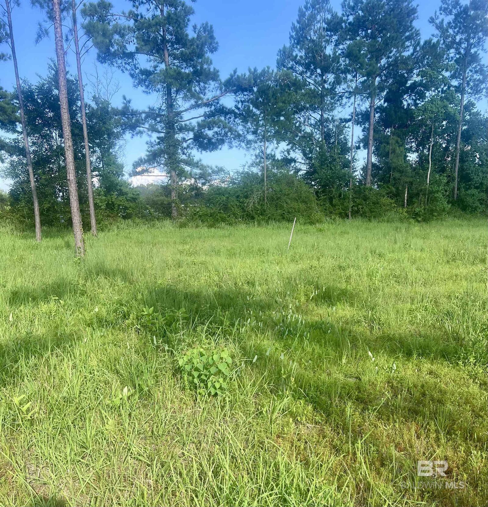 Property Photo:  24736 Linholm Road  AL 36567 