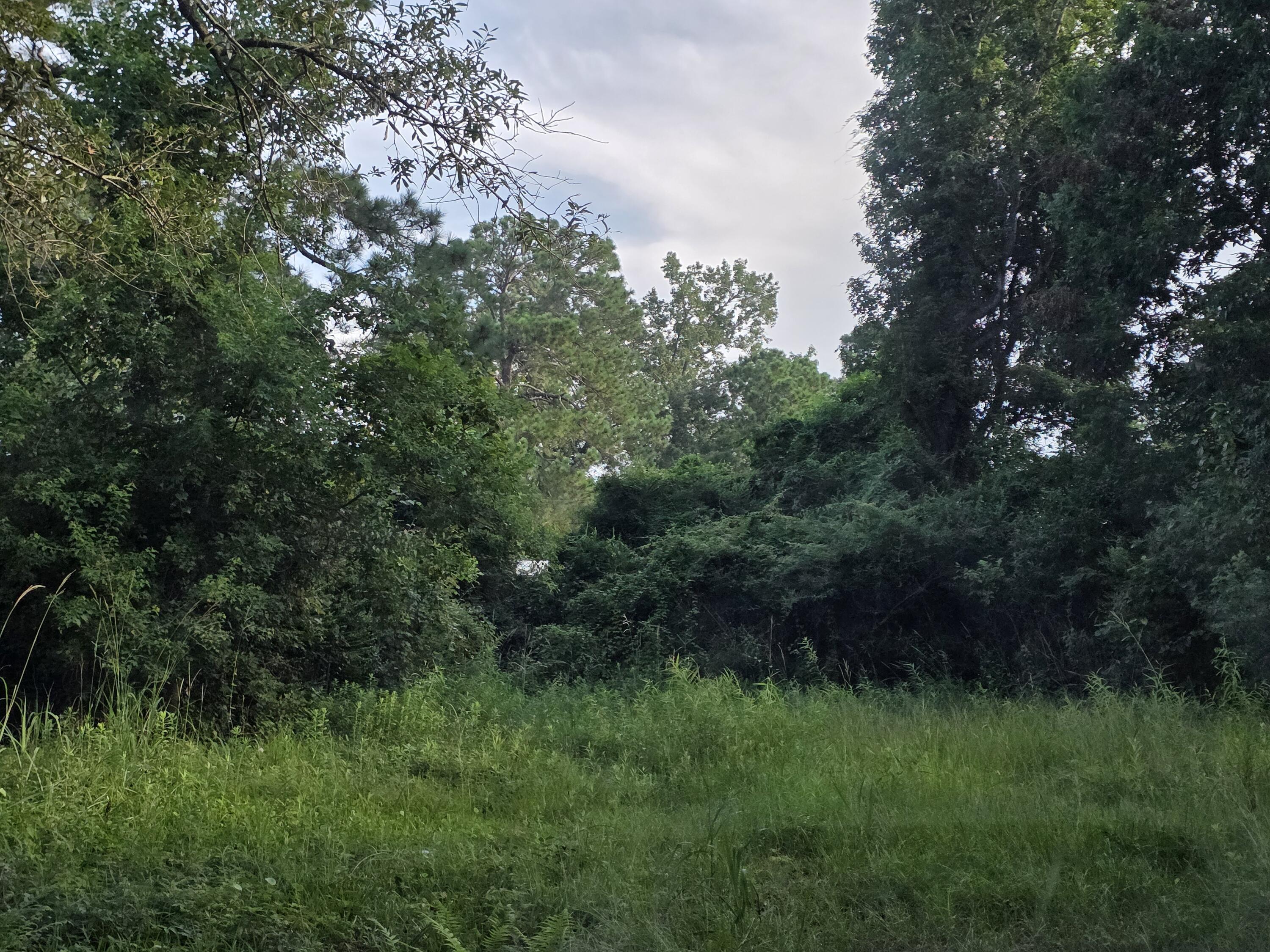 Property Photo: 1550 Larry Street SC 29406
