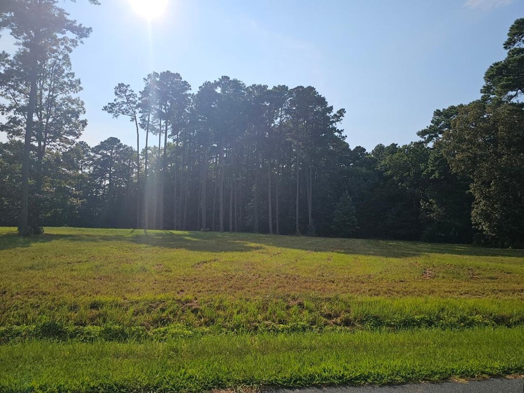 Property Photo: Lot 4 Ashbrooke Drive VA 23418