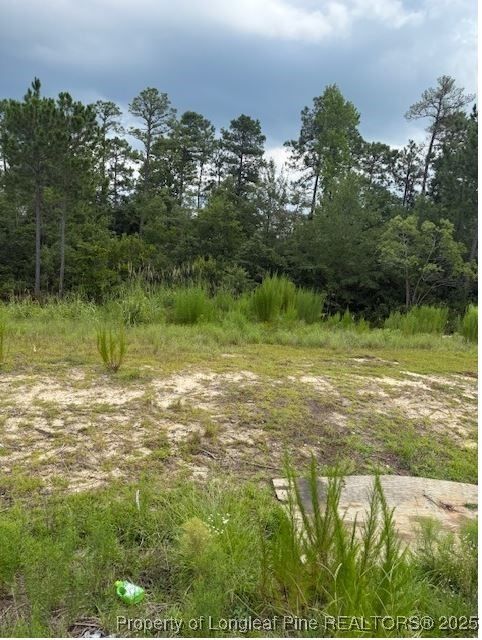 Property Photo:  646 Pittfield Run  NC 28326 