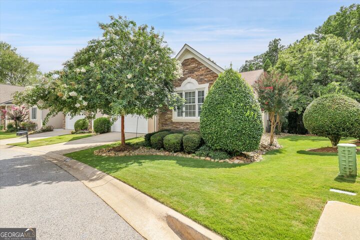 164 Maple Grove Terrace  Peachtree City GA 30269 photo