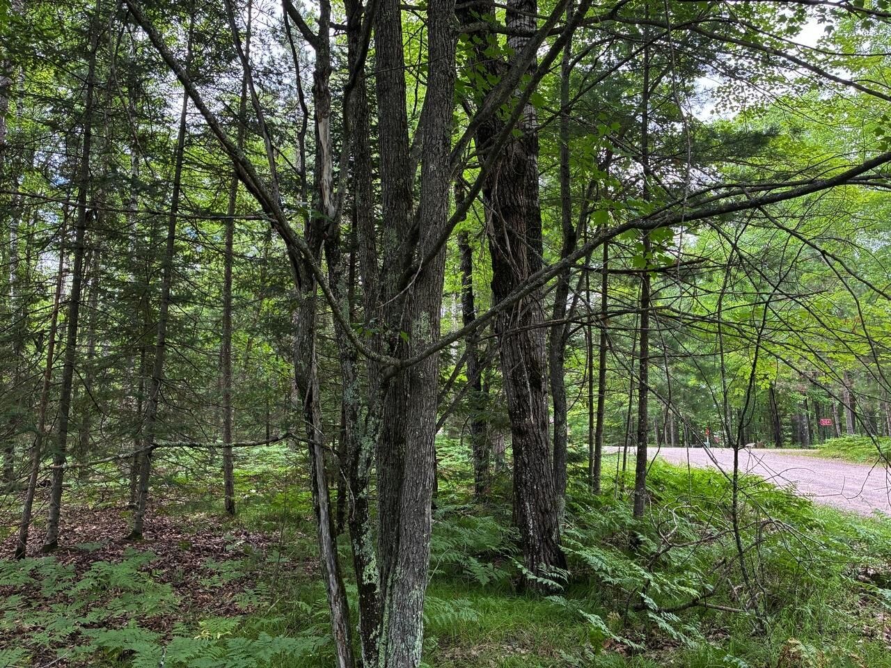 Property Photo: On Musky Dam Ln WI 54521