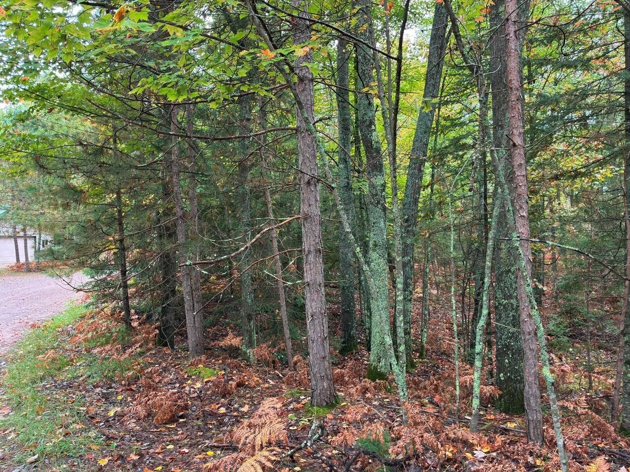 Property Photo: On Musky Dam Ln WI 54521