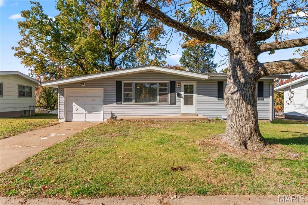 Property Photo:  9115 Clarion Drive  MO 63136 