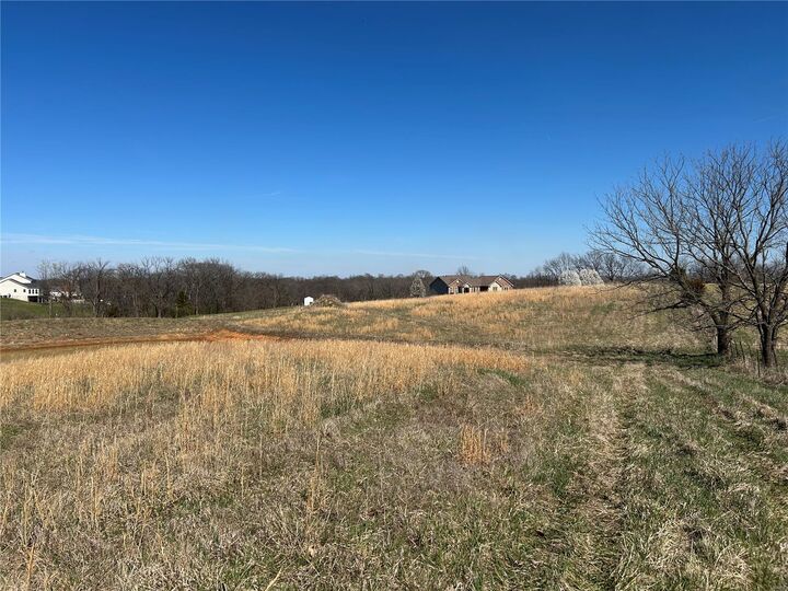 11 &Amp 21 Bryant'S Creek Drive  Elsberry MO 63343 photo