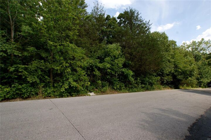 9518 E Vista Drive  Hillsboro MO 63050 photo