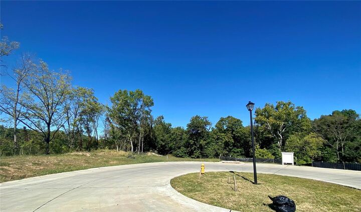 2045 Lily Avenue  Kirkwood MO 63122 photo