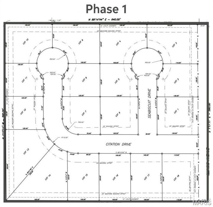 Property Photo: 309 Citation Drive MO 63801