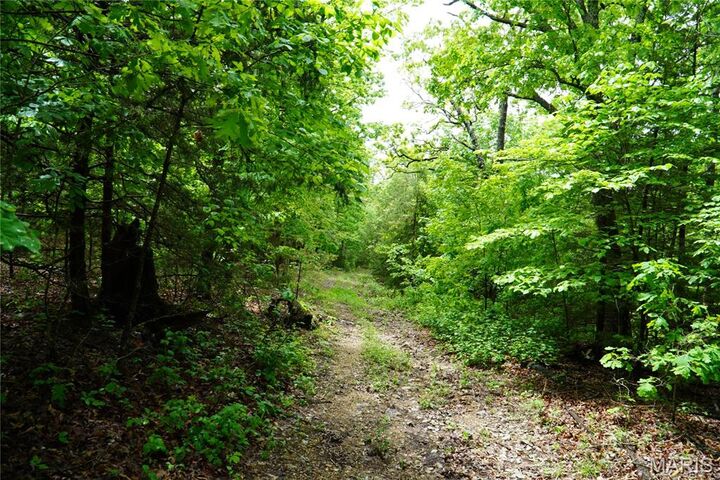 Property Photo:  1 Topaz  MO 65556 