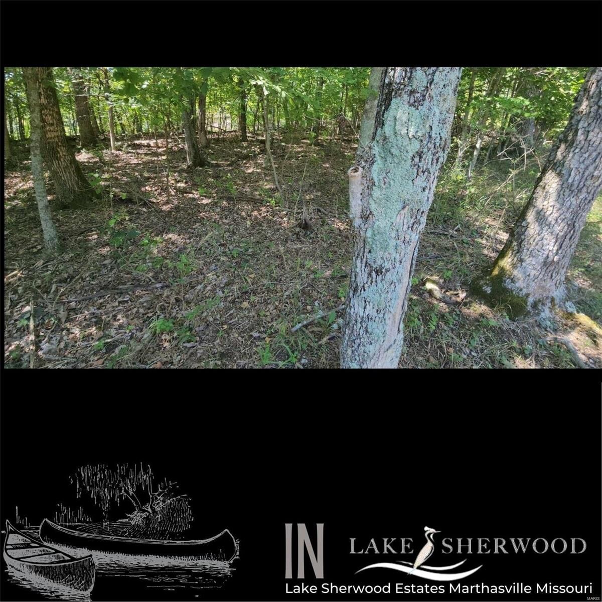 Property Photo:  904 Long Bow Drive  MO 63357 